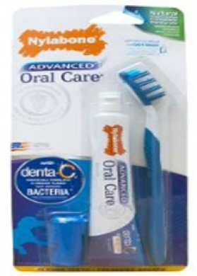 nylabone dental kit