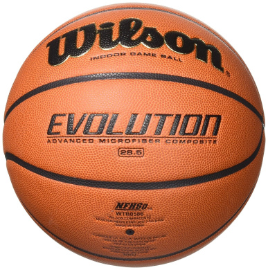 wilson indoor game ball