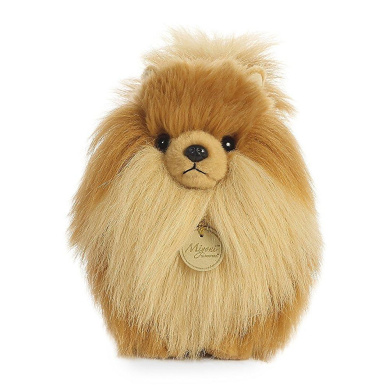 pomeranian teddy