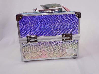 caboodles iridescent train case